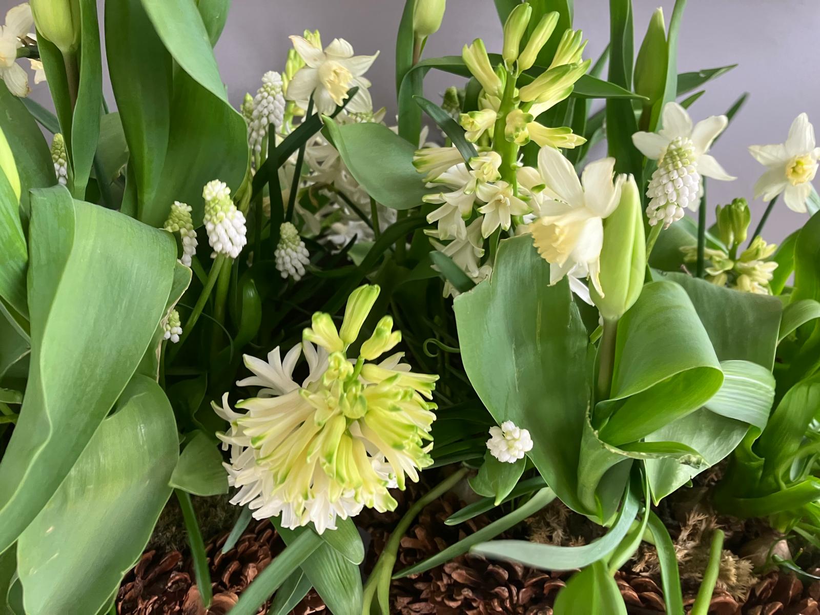 PHOTO-2025-01-30-17-56-26 (7)